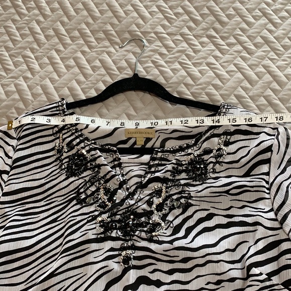 Animal Print. Zebra.  Sequins. Tunic. Fall - Picture 10 of 16